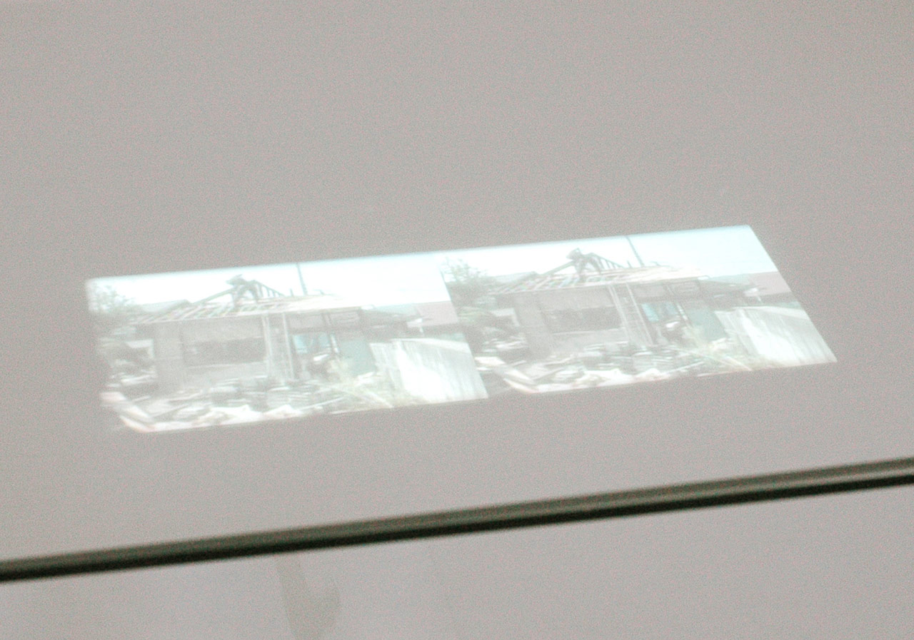 'Birds pearch on' Video installation (06:05 loop) 2004 Photo: Masataka Nakano